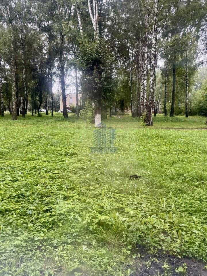 Россия, Чувашская Республика — Чувашия, Новочебоксарск, Молодёжная улица, 16, фото 3