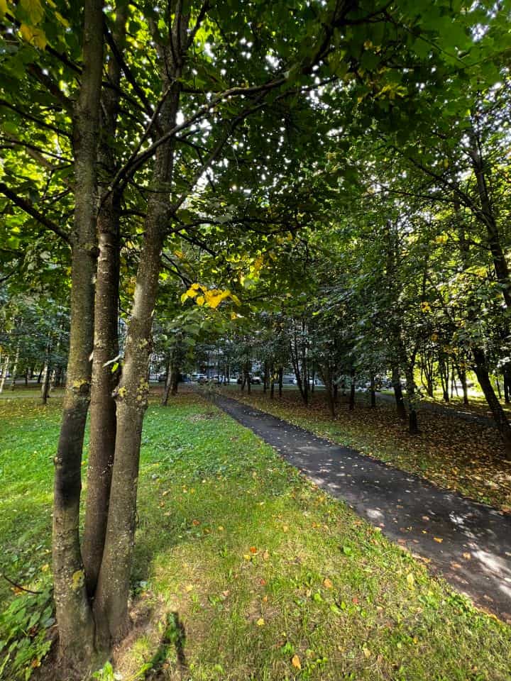 Россия, Санкт-Петербург, Богатырский проспект, 51к2, фото 44