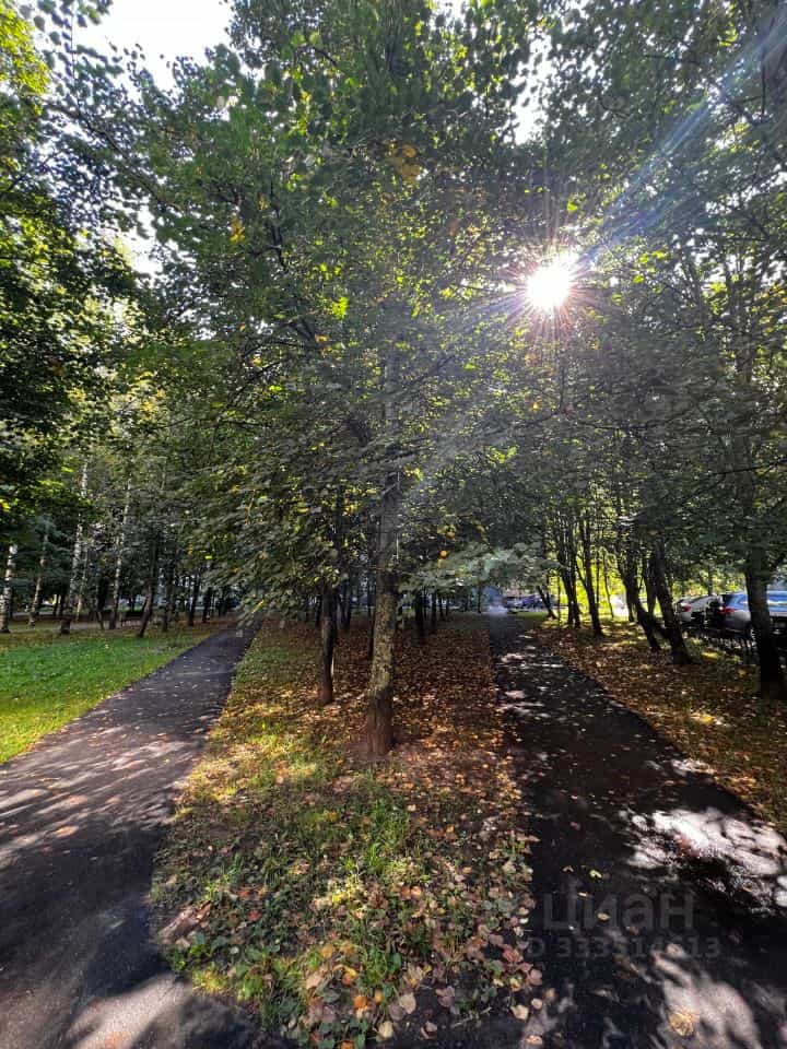Россия, Санкт-Петербург, Богатырский проспект, 51к2, фото 45