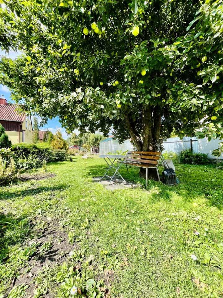 Россия, Калининград, улица Дежнёва, 9, фото 28