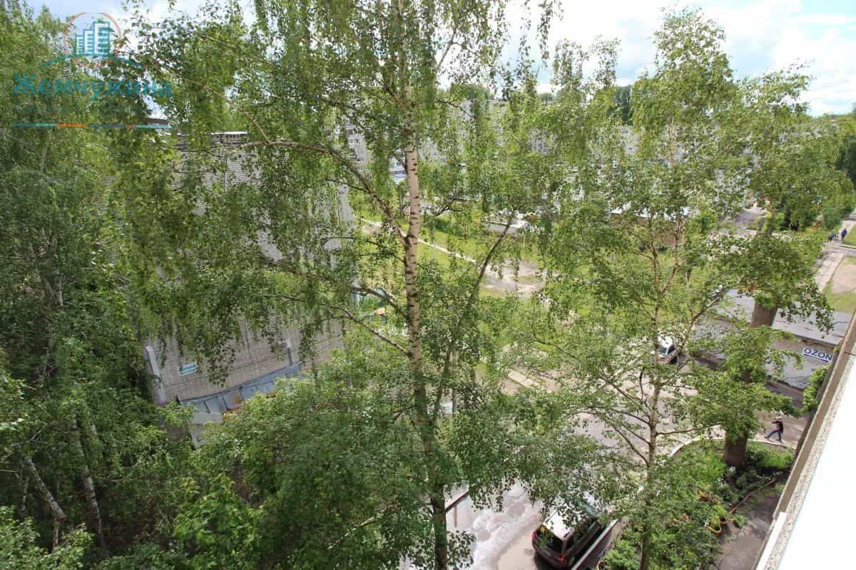 Россия, Ульяновская область, Димитровград, проспект Автостроителей, 76, фото 18