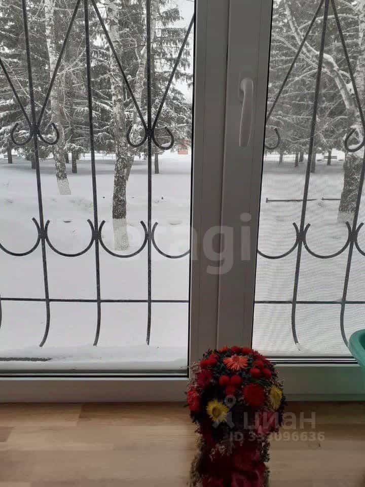 Россия, Самарская область, Волжский район, городское поселение Петра Дубрава, посёлок городского типа Петра Дубрава, улица Коммунаров, 15, фото 13