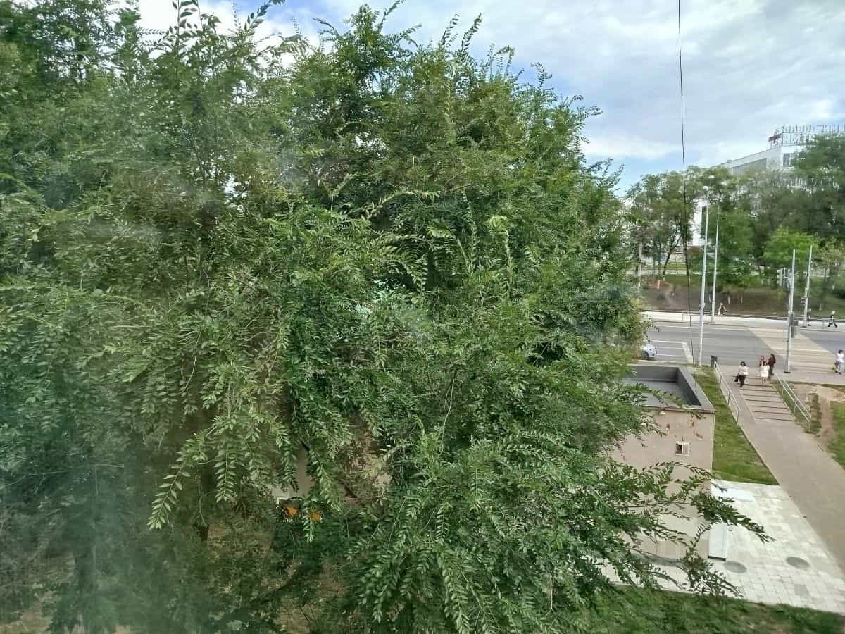 Россия, Самара, Ново-Садовая улица, 200, фото 6