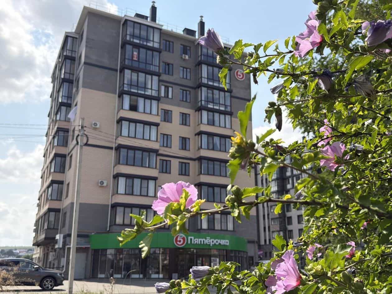 Россия, Ставропольский край, Ессентуки, улица Шмидта, 82