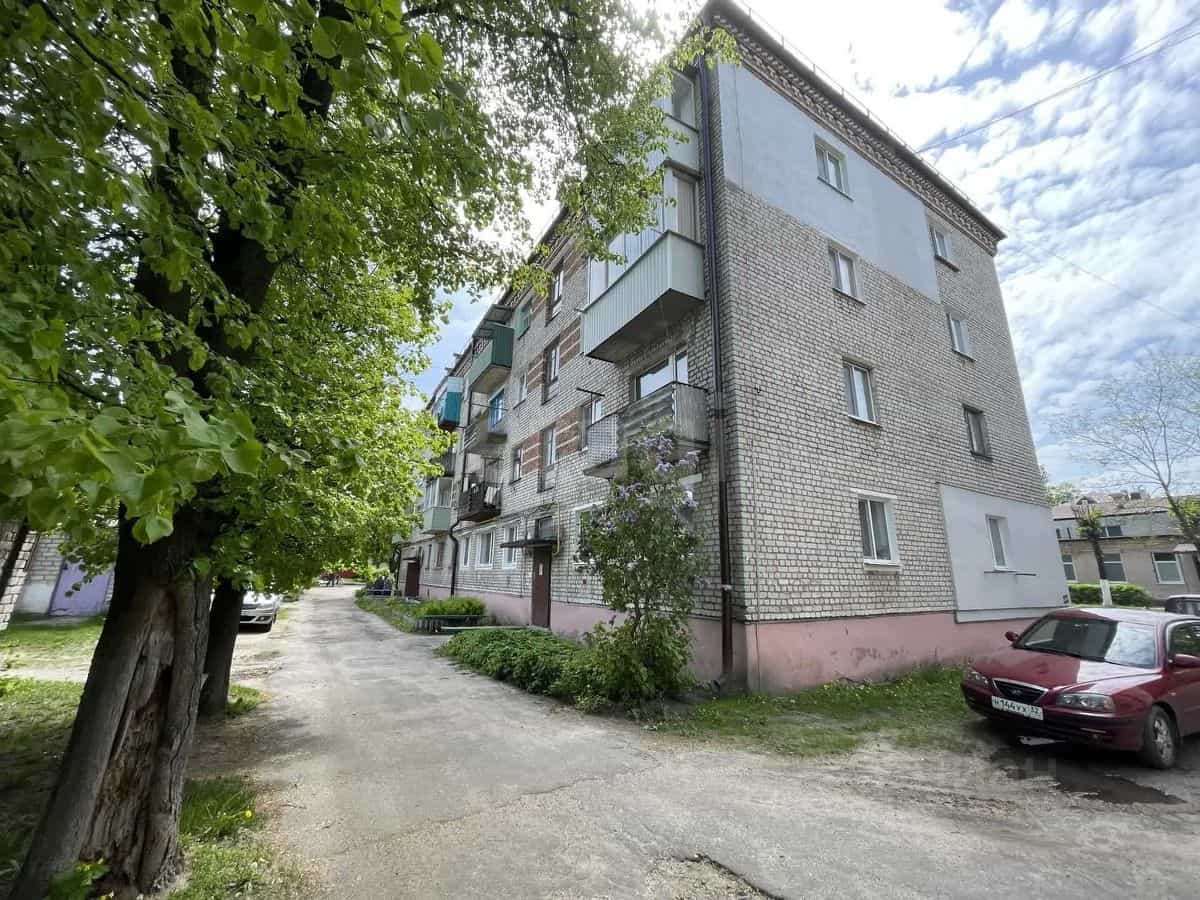 Россия, Брянская область, Унеча, Школьная улица, 10, фото 17