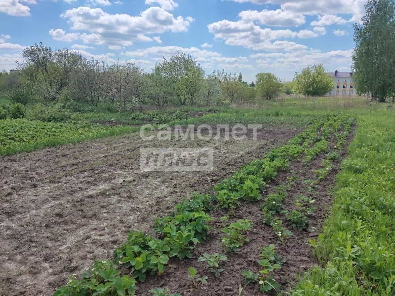 Россия, Курская область, Льгов, улица Овечкина, 10А, фото 36