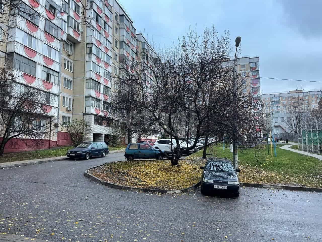Россия, Белгород, улица Губкина, 31, фото 29