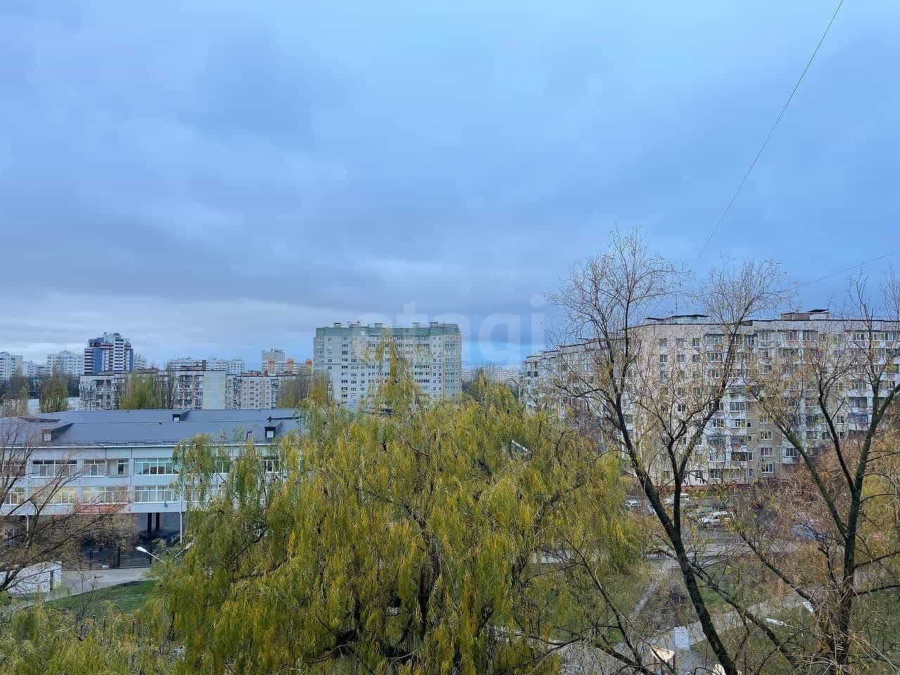 Россия, Белгород, улица Губкина, 31, фото 33