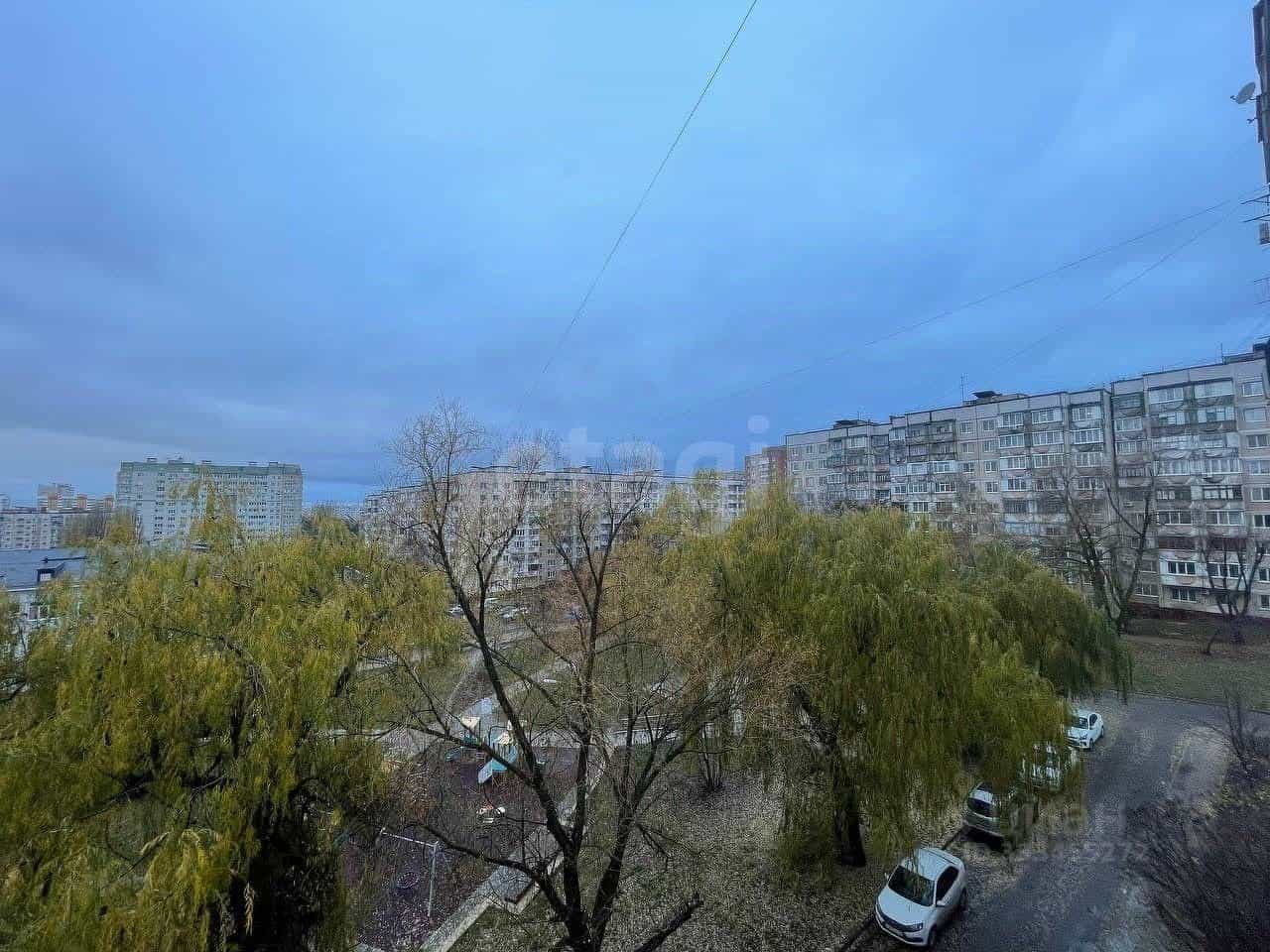 Россия, Белгород, улица Губкина, 31, фото 34