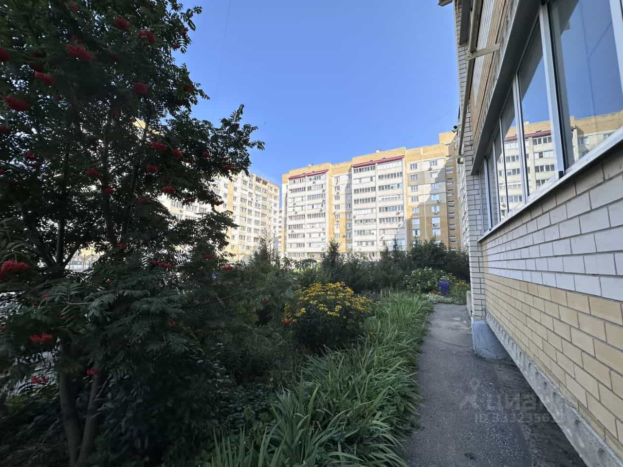 Россия, Тамбов, улица Киквидзе, 71В, фото 22