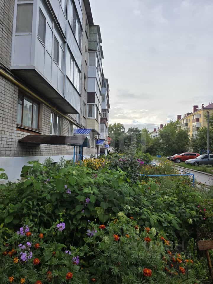 Россия, Республика Марий Эл, Звенигово, улица Гагарина, 2, фото 18