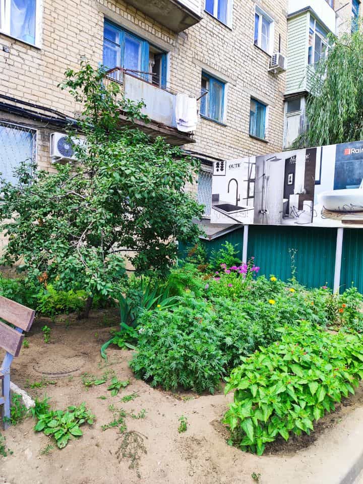 Россия, Волгоградская область, Камышин, улица Ленина, 19, фото 19