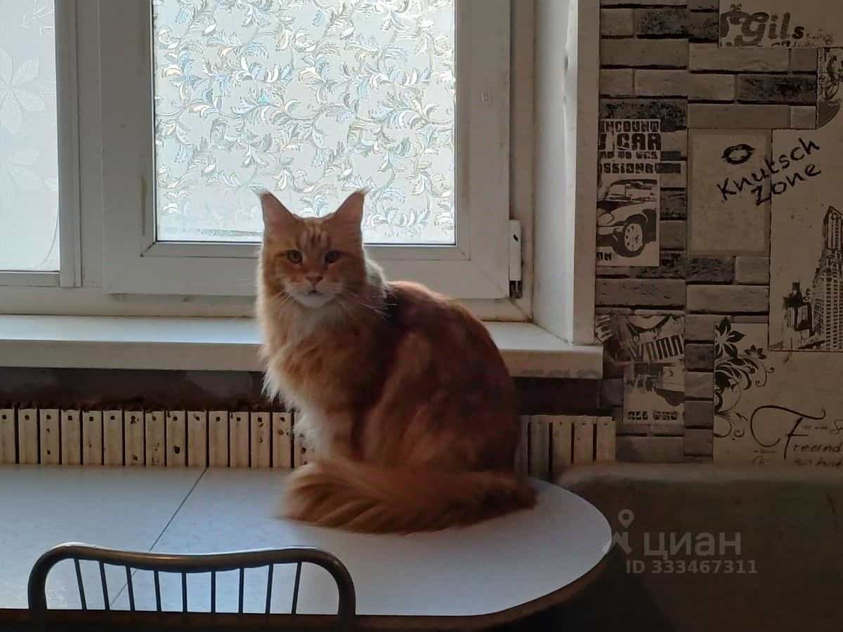 Россия, Челябинская область, Чебаркуль, Октябрьская улица, 3В