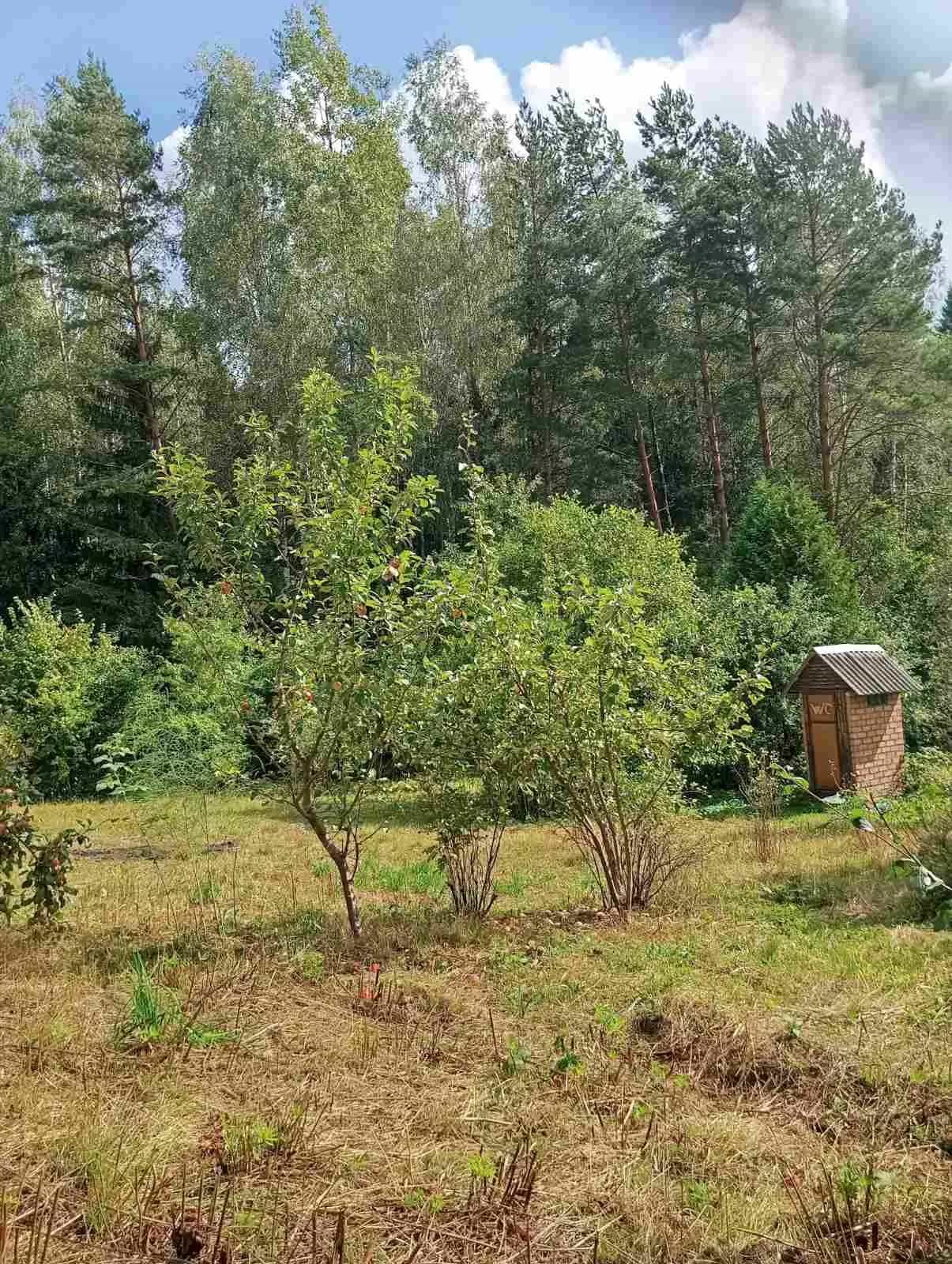 Беларусь, Минская область, Молодечненский район, Городокский сельсовет, садовое товарищество Теплоэнергетик, 173