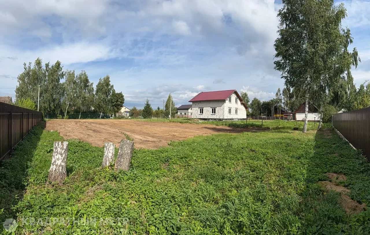 Беларусь, Минская область, Дзержинский район, Демидовичский сельсовет, садоводческое товарищество Птичь, 12, фото 8