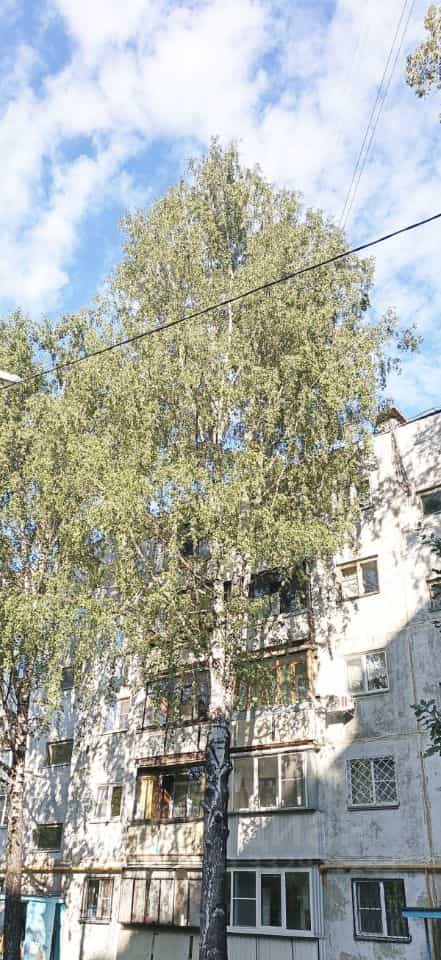 Россия, Челябинск, улица Ворошилова, 9А, фото 18