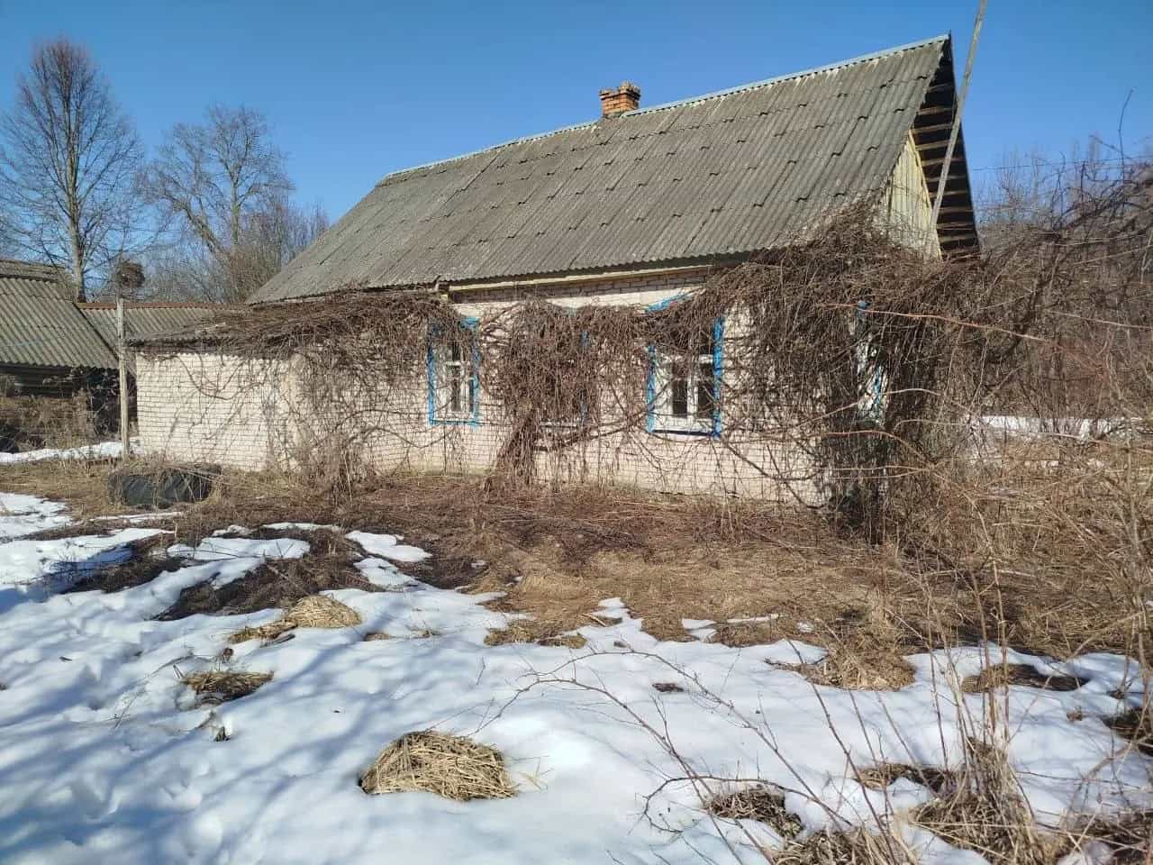 Беларусь, Минская область, Березинский район, Капланецкий сельсовет, деревня Людвиково, Зелёная улица, 6, фото 3