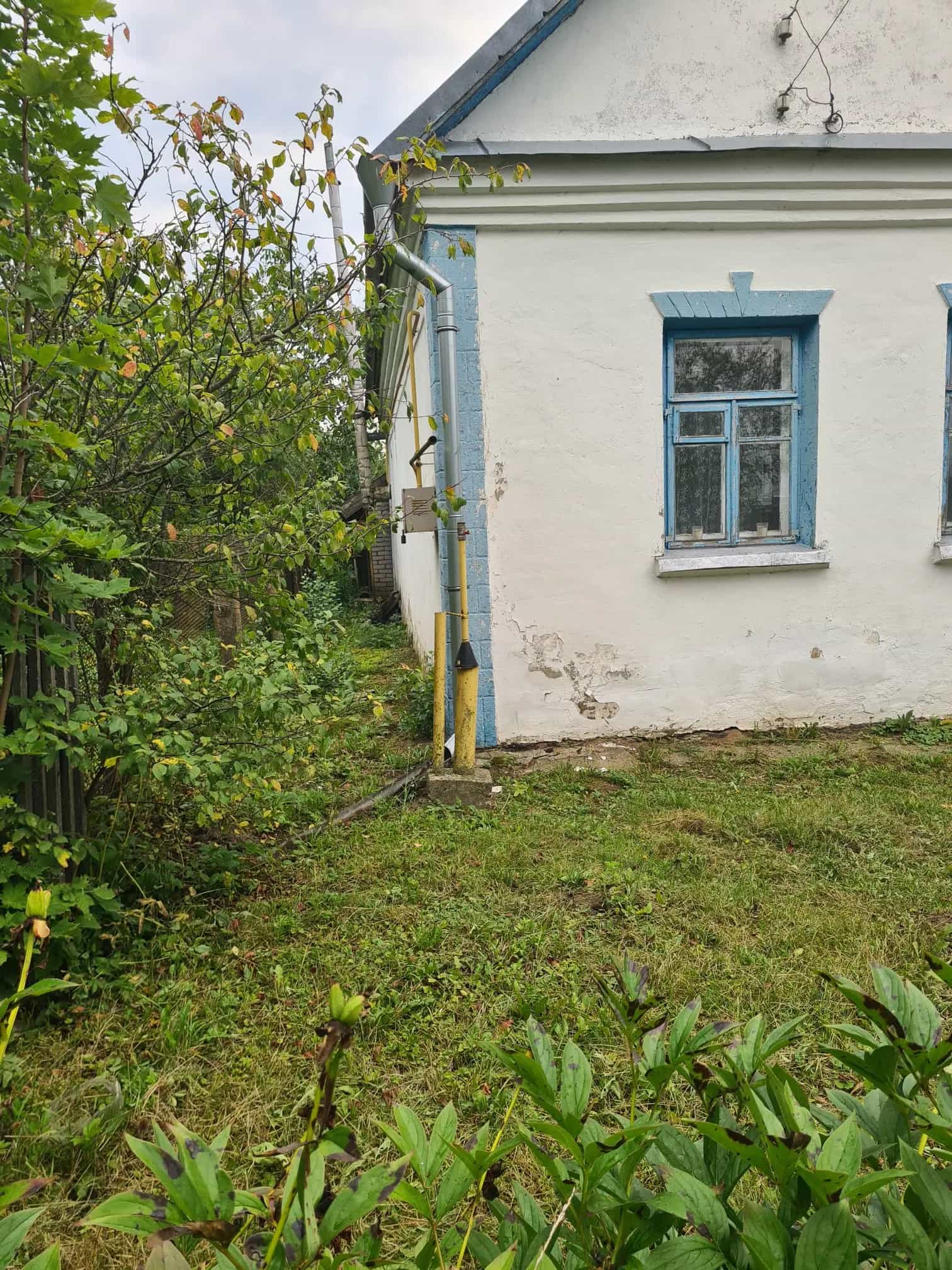 Беларусь, Минская область, Слуцкий район, улица Кутузова, 41, фото 2
