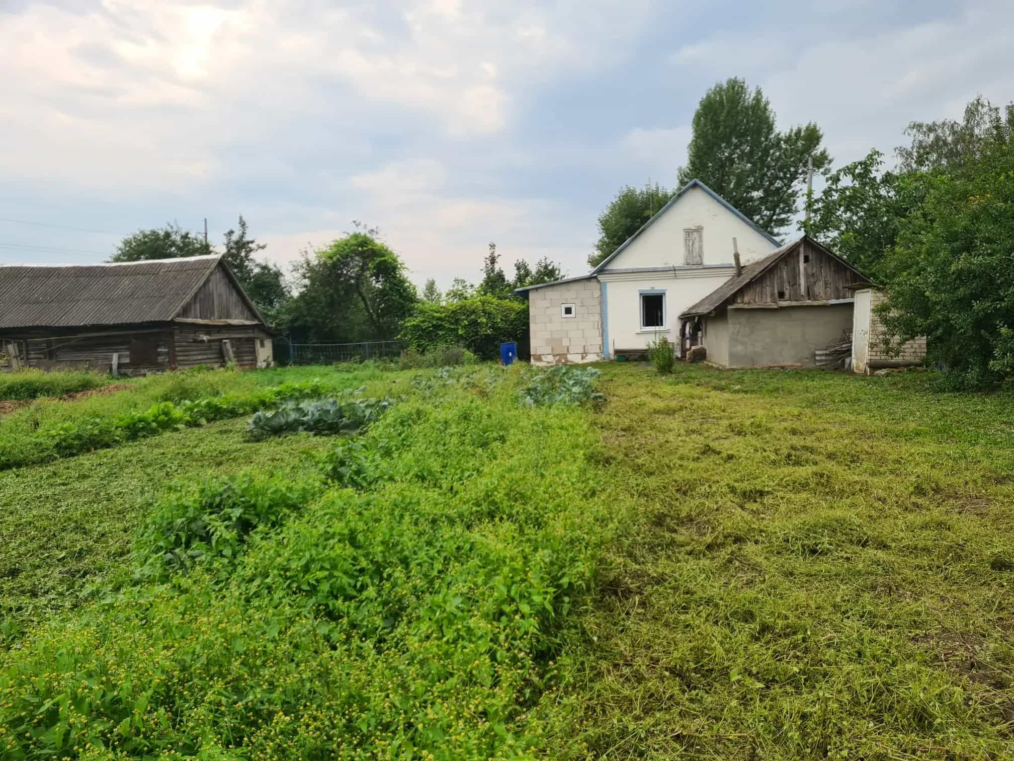 Беларусь, Минская область, Слуцкий район, улица Кутузова, 41, фото 16