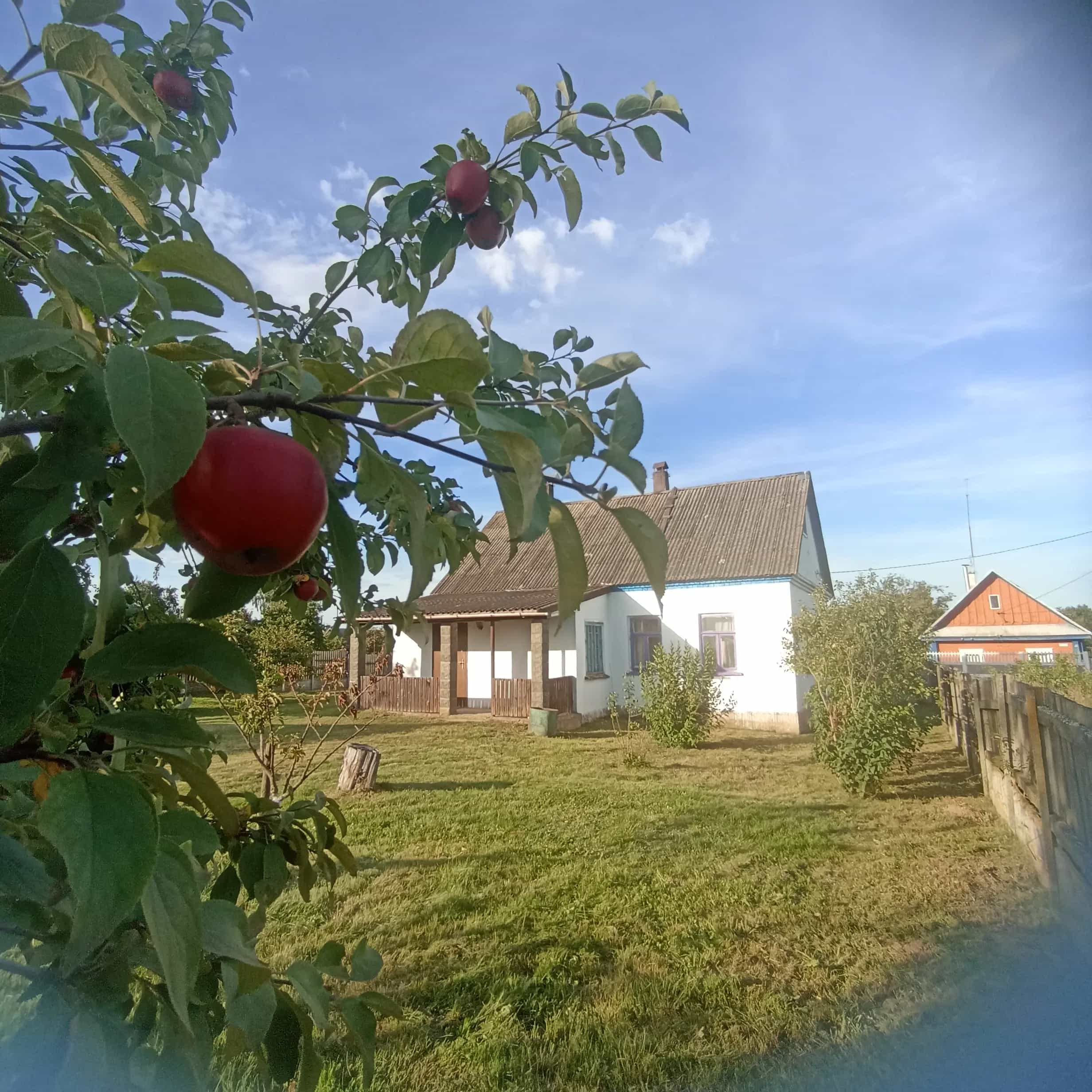 Беларусь, Гродненская область, Новогрудский район, Любчанский сельсовет, деревня Куписк, 142, фото 5