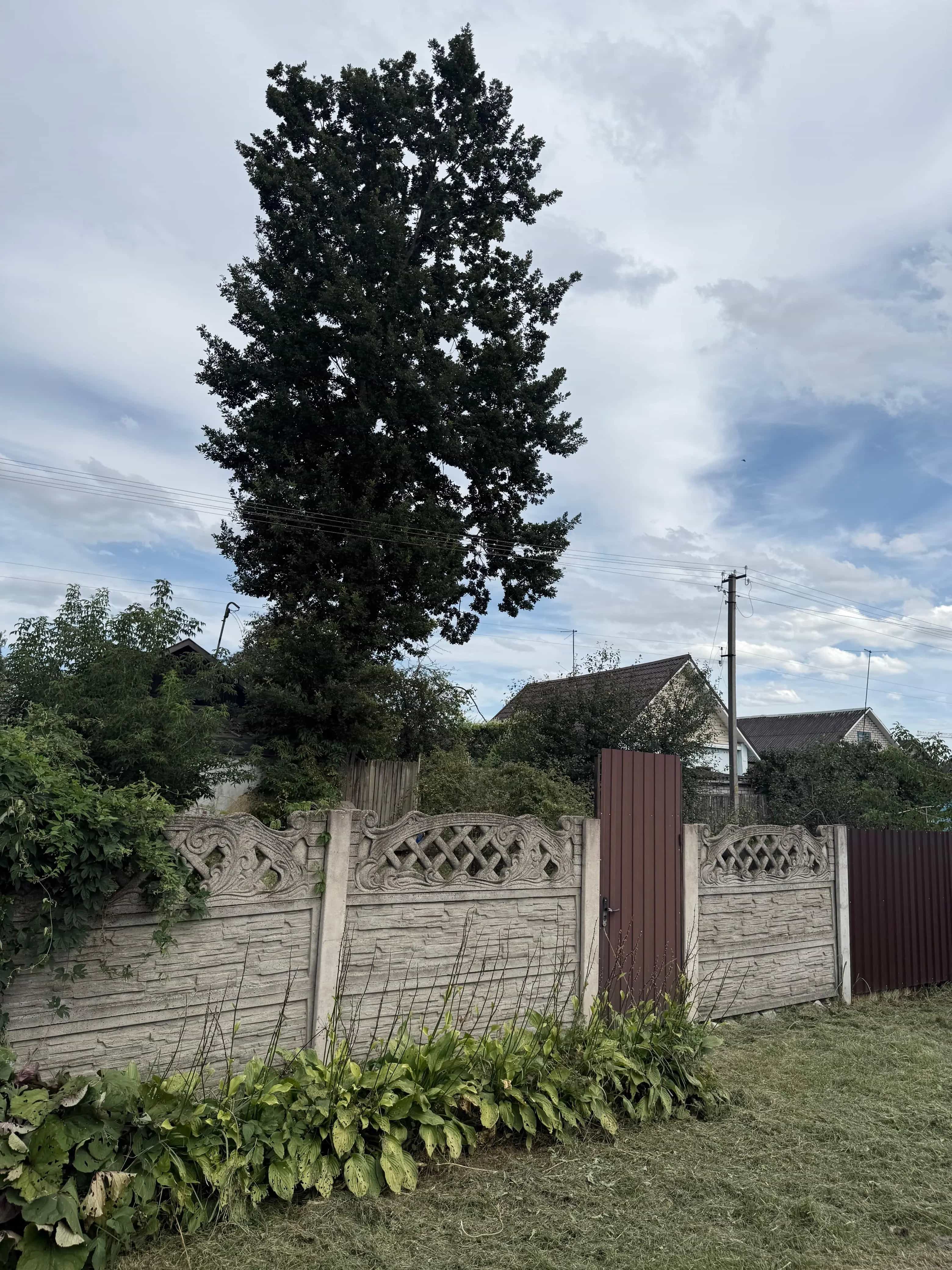 Беларусь, Могилёв, Вильчицкий переулок, 41