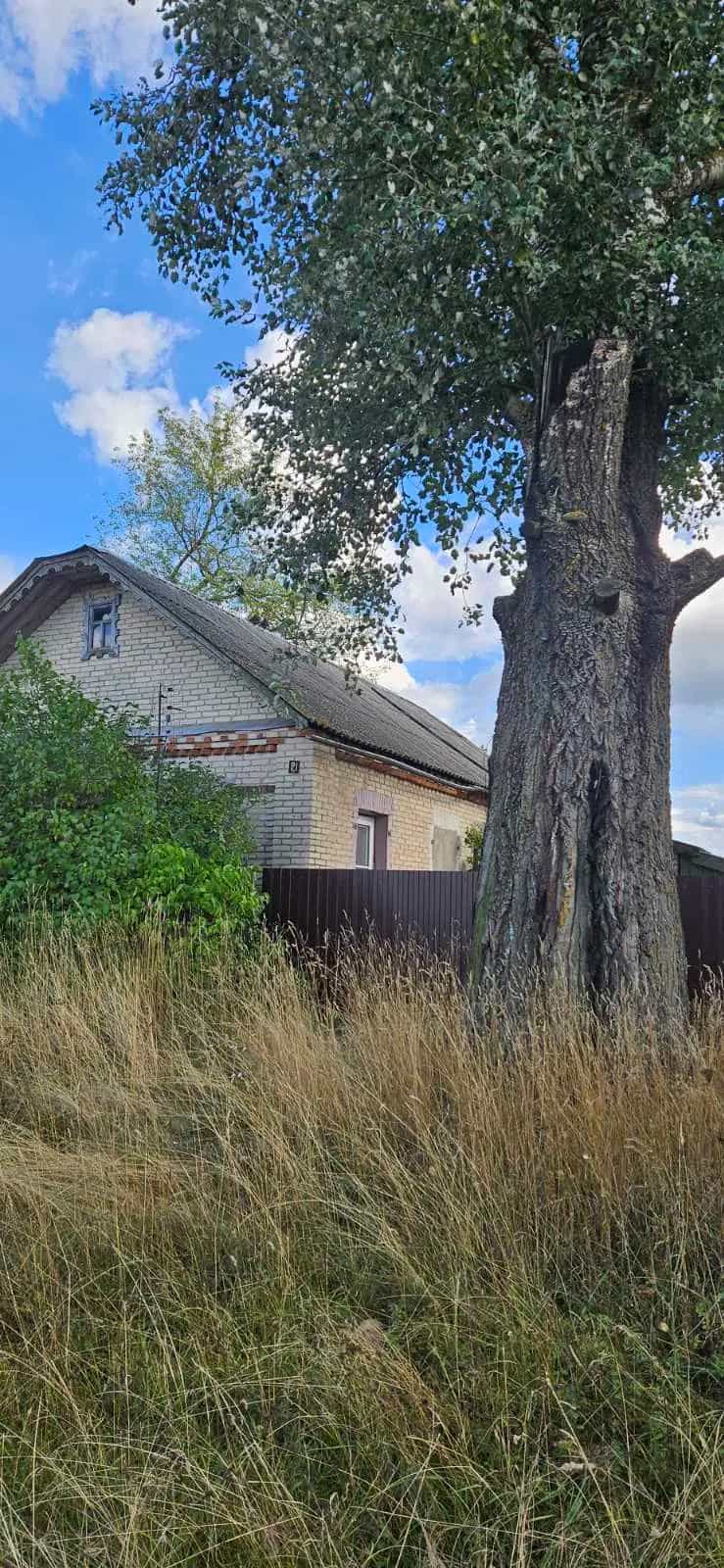 Беларусь, Гомельская область, Ветковский район, Радужский сельсовет, посёлок Новый Мир, 25, фото 5
