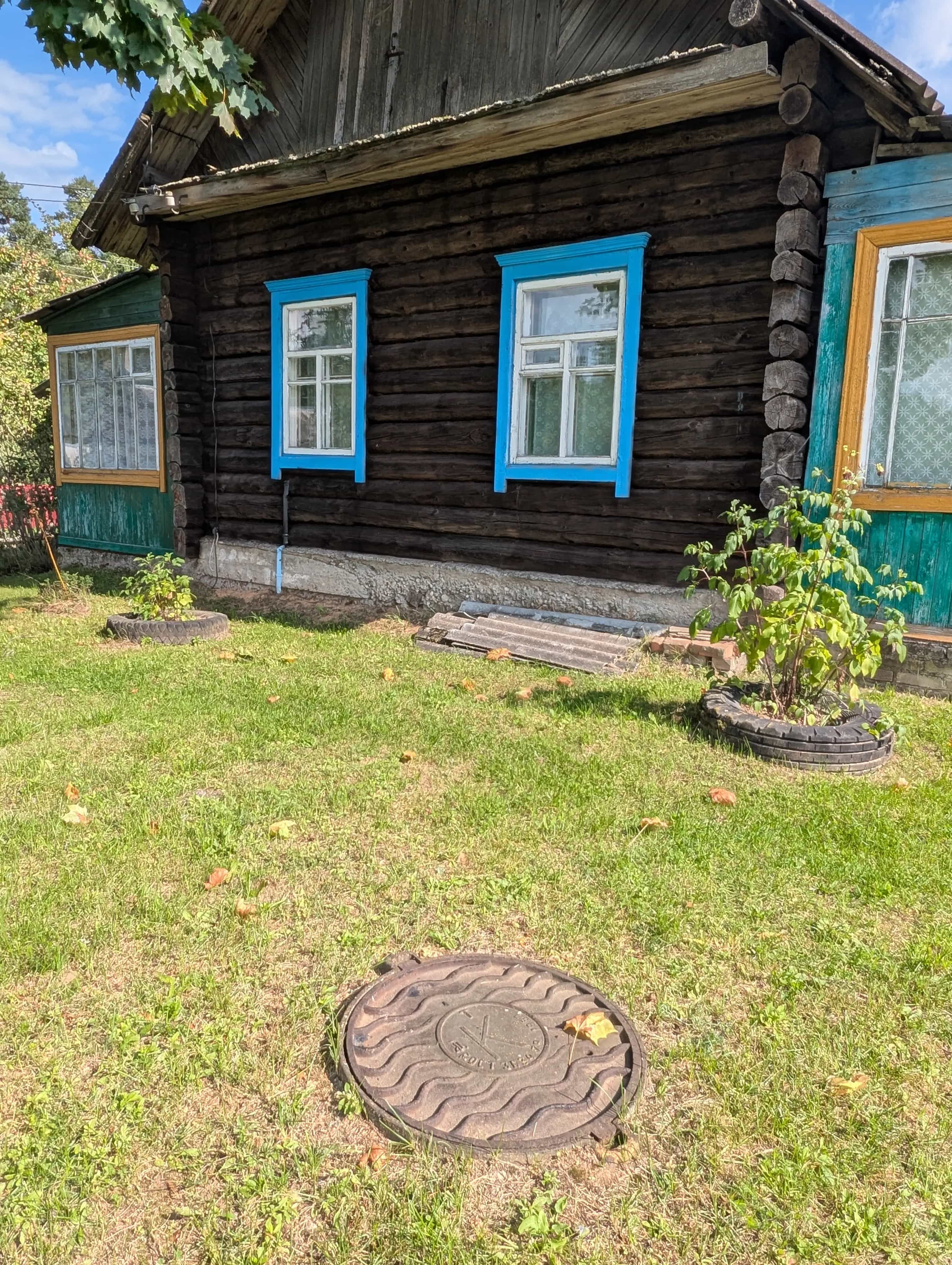 Беларусь, Витебская область, Полоцкий район, Боровухский сельсовет, агрогородок Кушлики, Черёмуховая улица, 9, фото 4