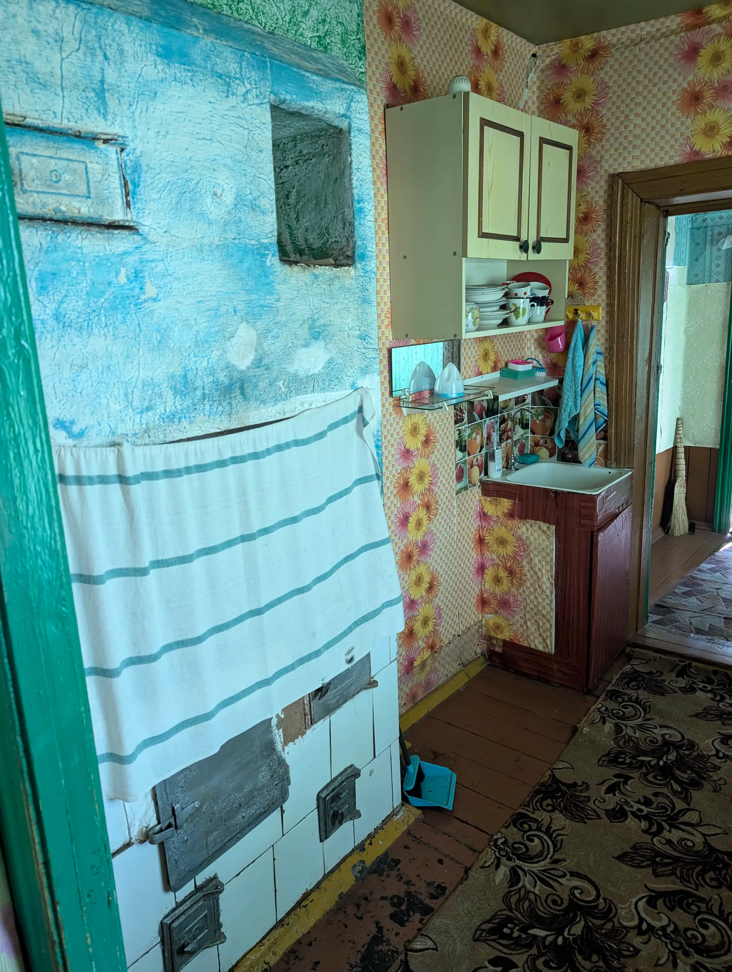Беларусь, Витебская область, Полоцкий район, Боровухский сельсовет, агрогородок Кушлики, Черёмуховая улица, 9, фото 11