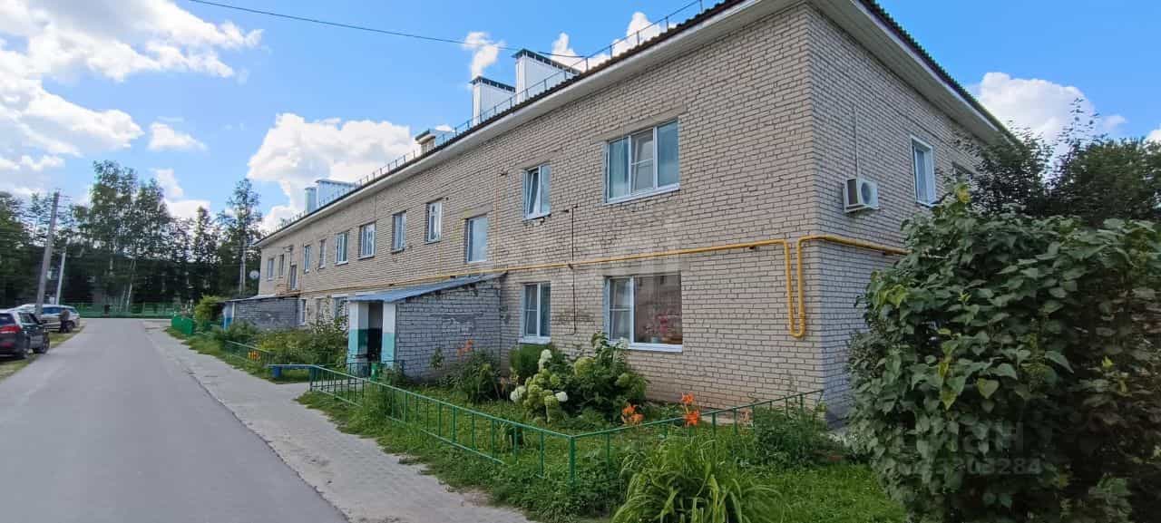 Россия, Владимирская область, Петушинский муниципальный округ, деревня Новое Аннино, Центральная улица, 2, фото 11
