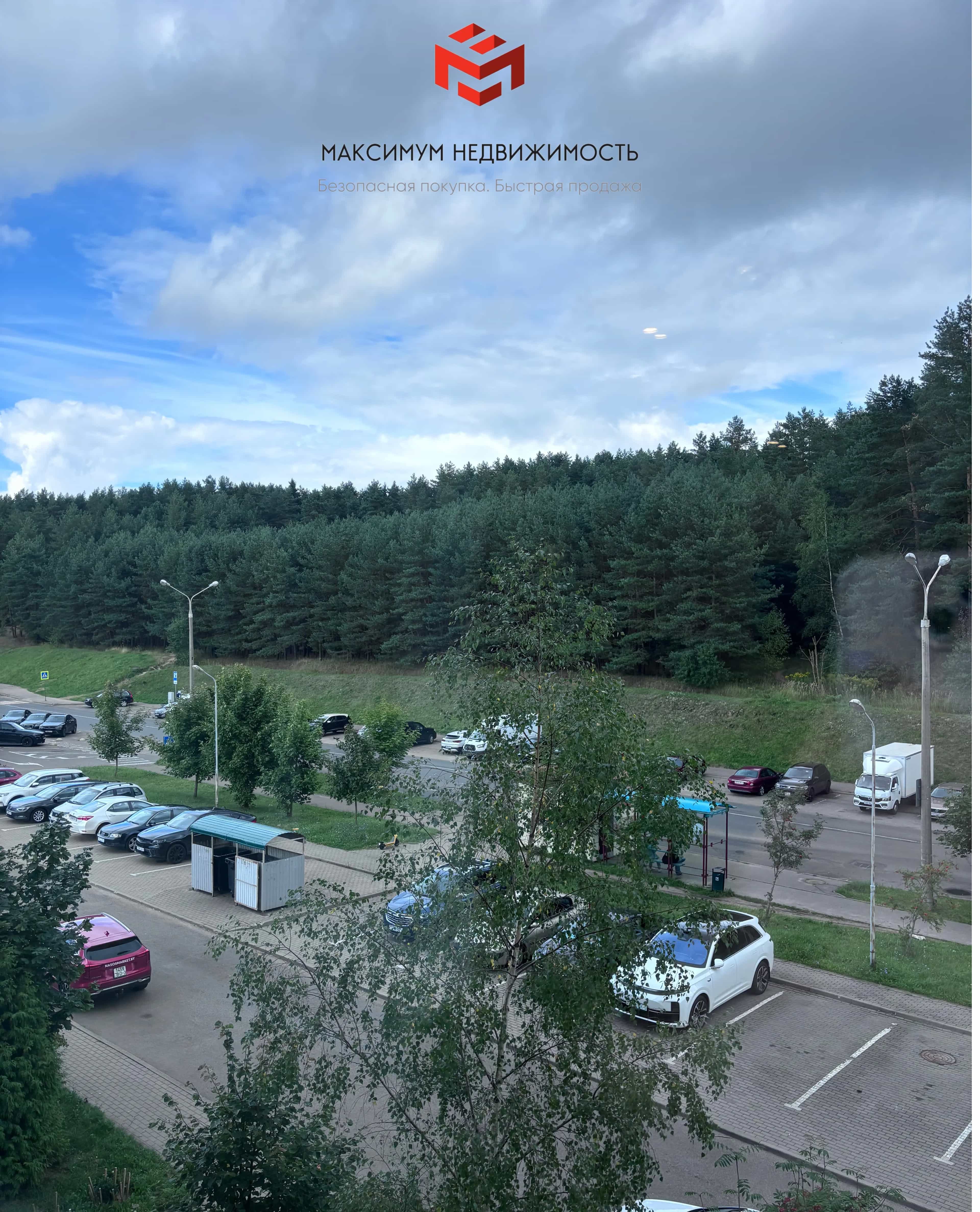 Беларусь, Минский район, Боровлянский сельсовет, деревня Копище, улица Лопатина, 5, фото 17
