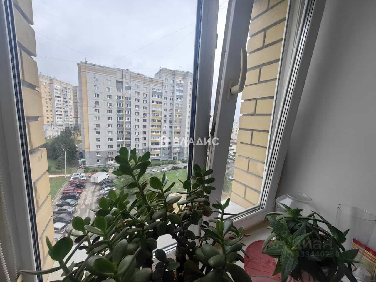 Россия, Владимир, улица Нижняя Дуброва, 21А, фото 8