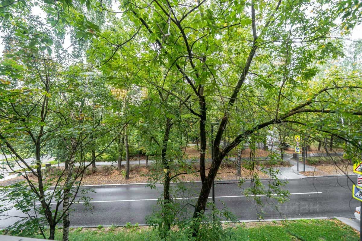 Россия, Московская область, Одинцовский городской округ, деревня Жуковка, 58, фото 34