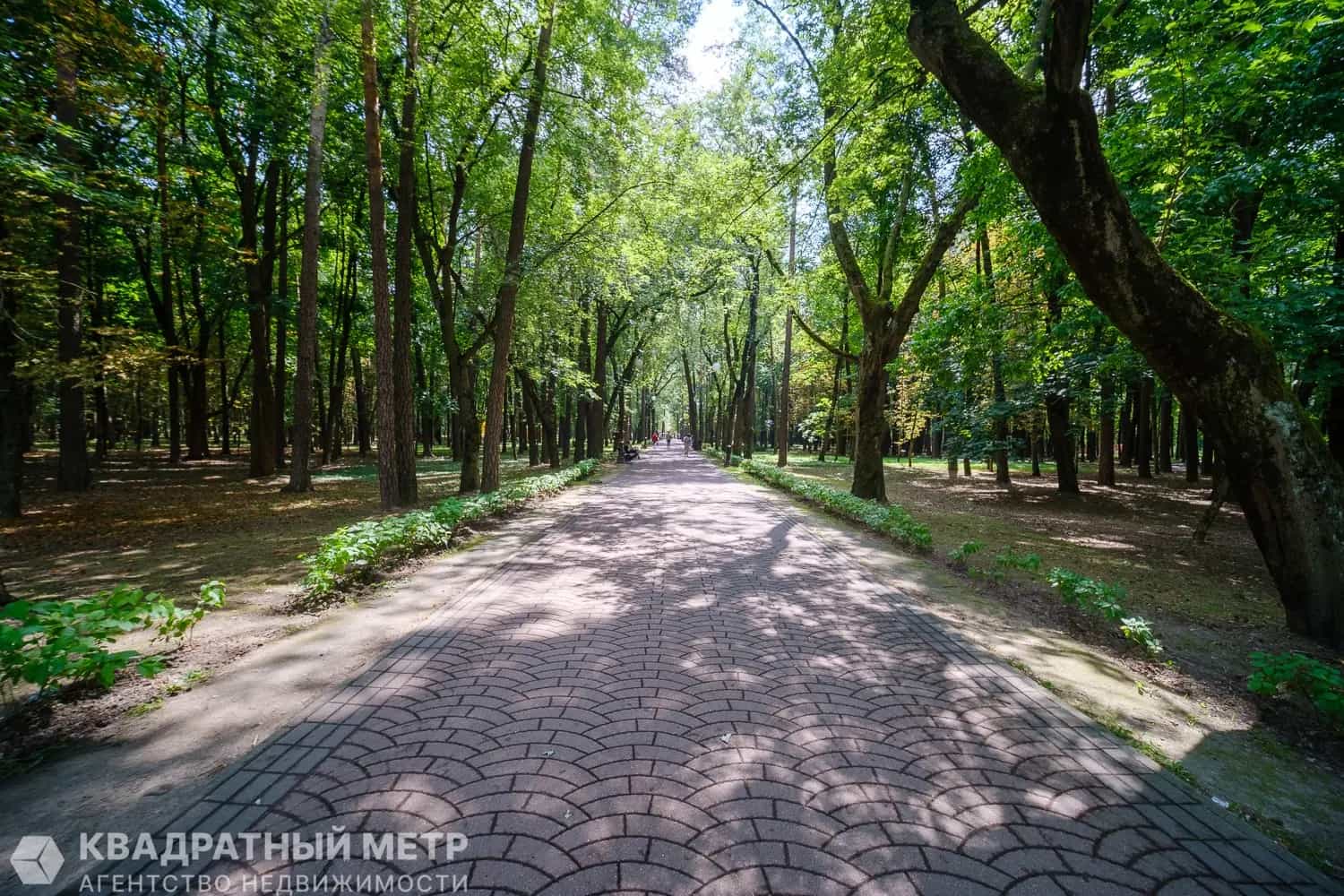 Беларусь, Минск, улица Калинина, 1, фото 44