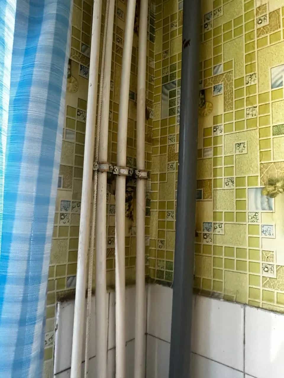 Беларусь, Гомельская область, Жлобин, Ленинградская улица, 10, фото 13