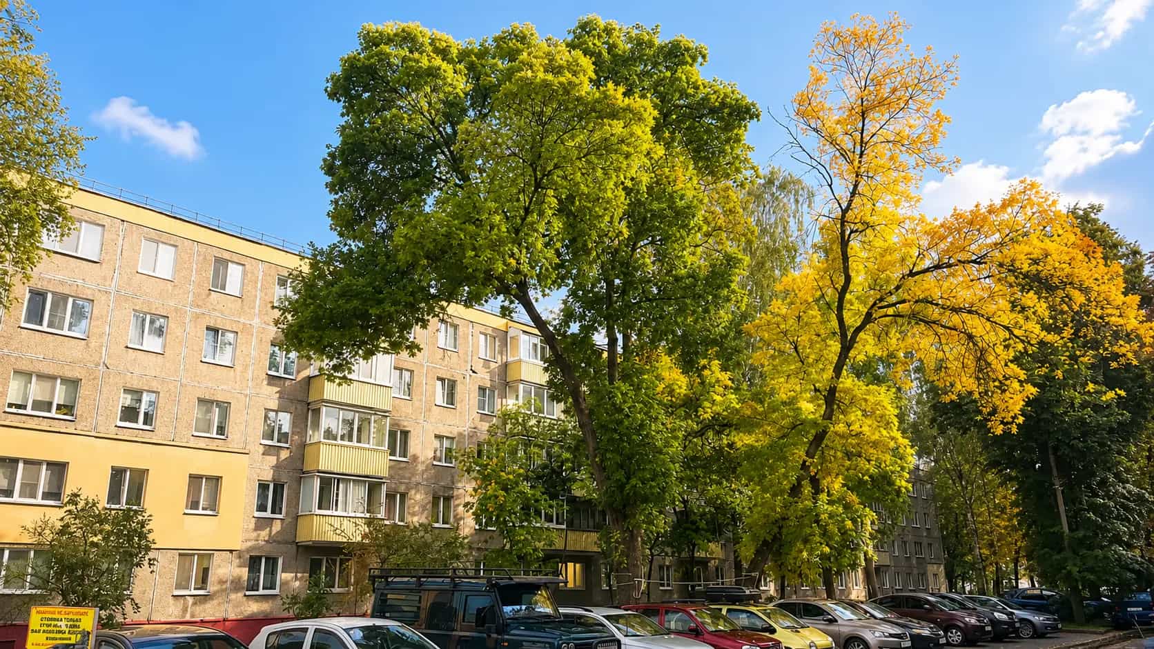 Беларусь, Минск, улица Голодеда, 25, фото 14