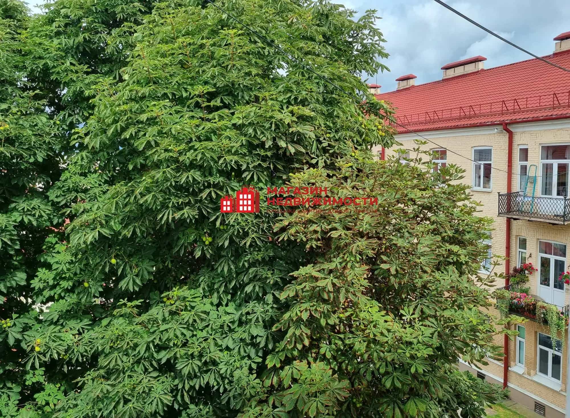 Беларусь, Гродно, Советская улица, 13, фото 12