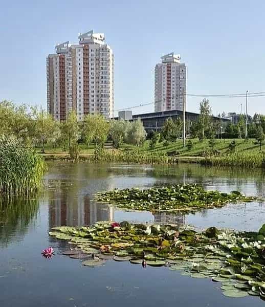 Беларусь, Минск, улица Академика Купревича, 16, фото 6