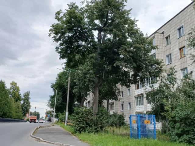 Фото объекта