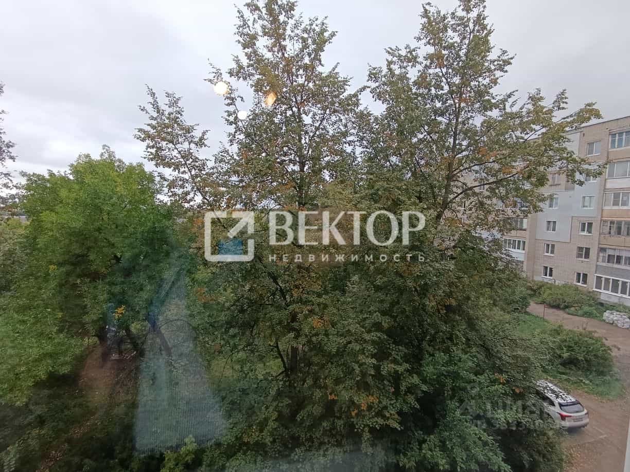 Россия, Кострома, улица Димитрова, 16, фото 12
