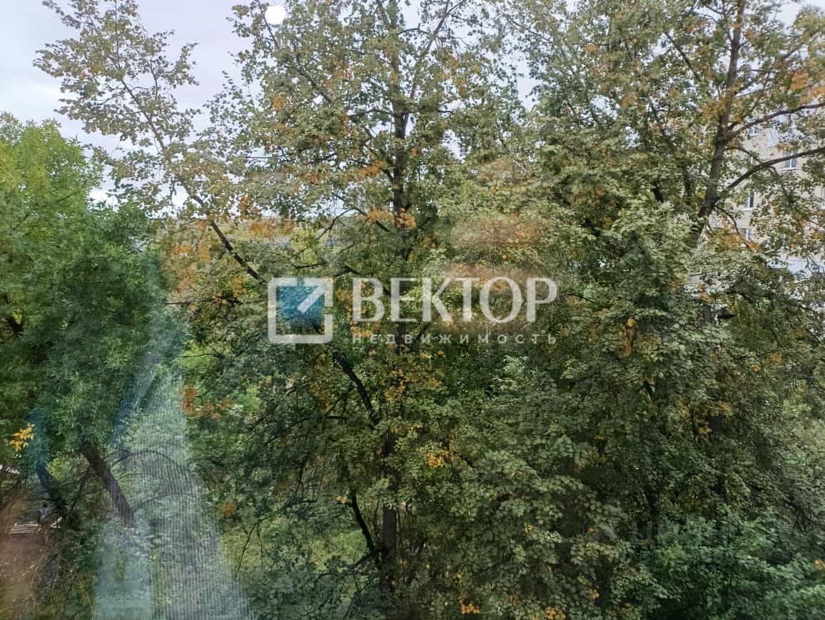 Россия, Кострома, улица Димитрова, 16, фото 30