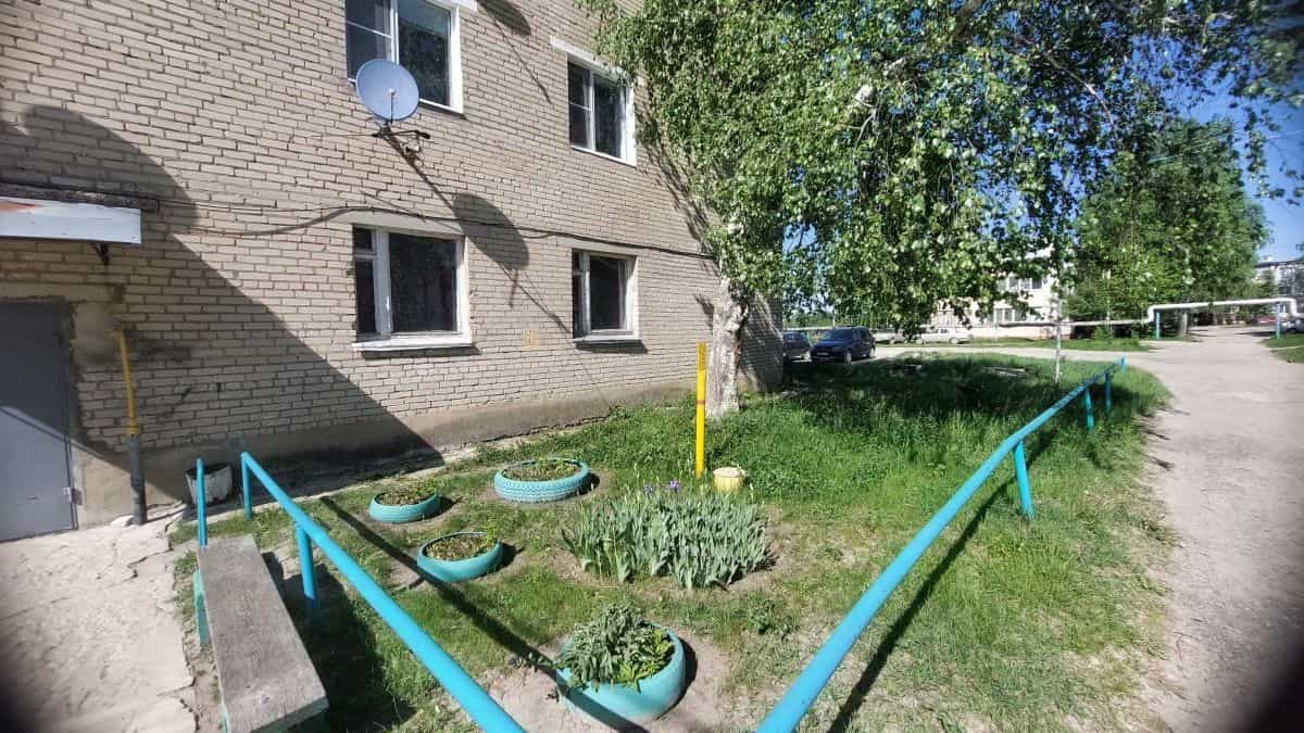 Россия, Пензенская область, Бессоновский район, село Кижеватово, Молодёжная улица, 16, фото 2