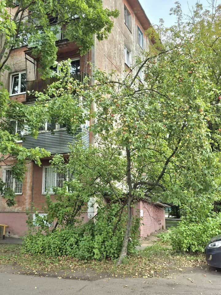 Россия, Московская область, Электросталь, улица Пушкина, 25, фото 7