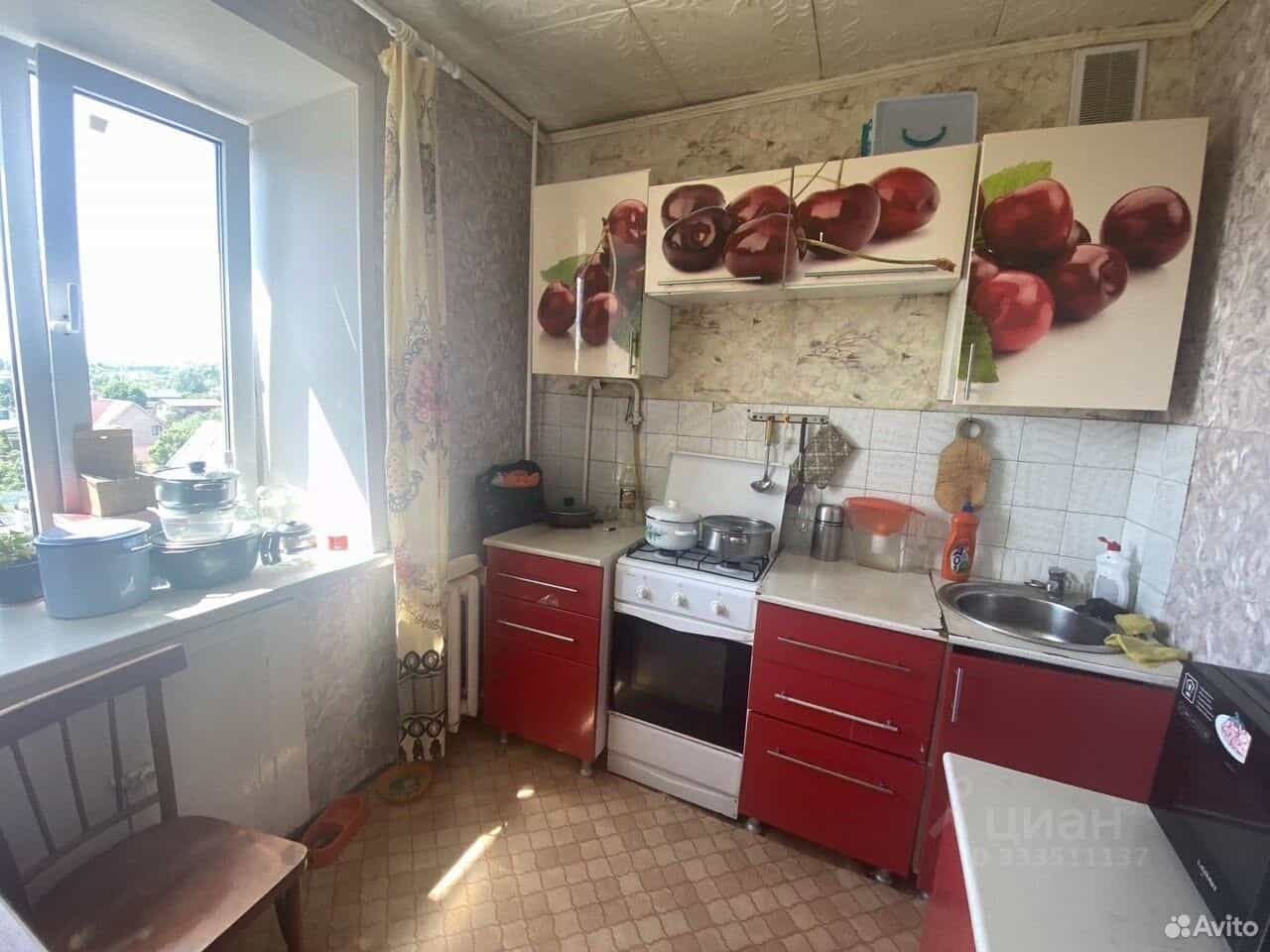 Россия, Псковская область, Великие Луки, улица Заслонова, 33, фото 6