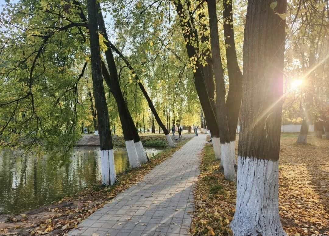 Россия, Владимирская область, Вязники, улица Куйбышева, 2, фото 31