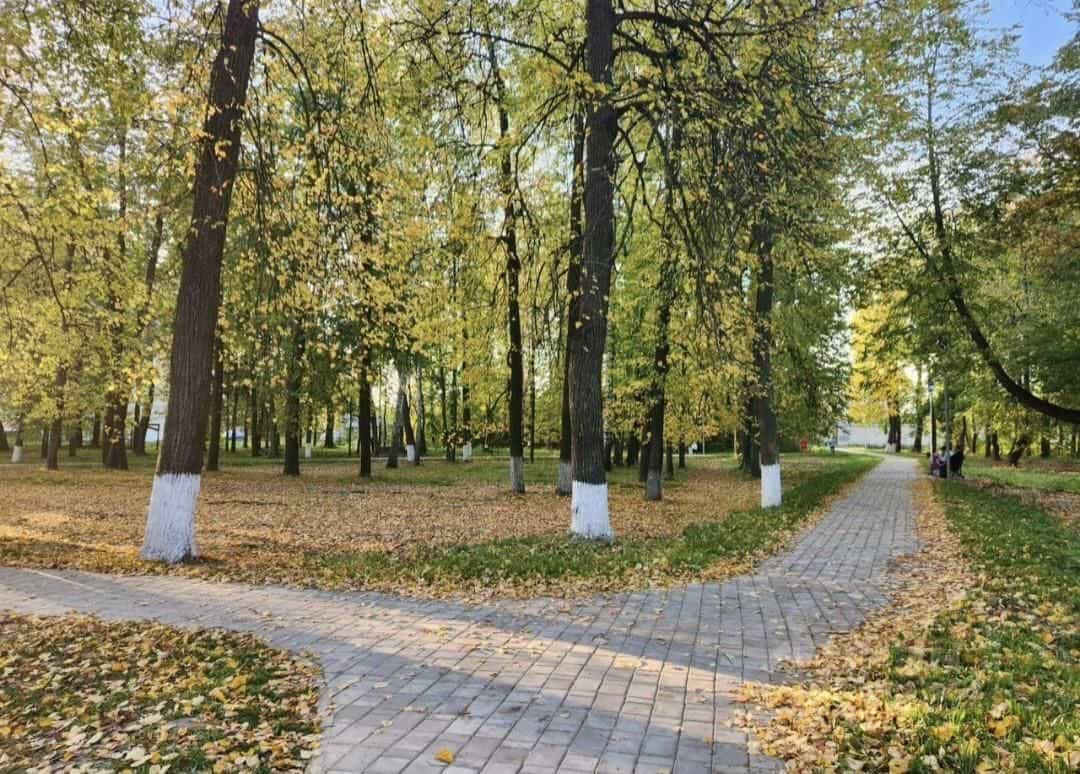 Россия, Владимирская область, Вязники, улица Куйбышева, 2, фото 33