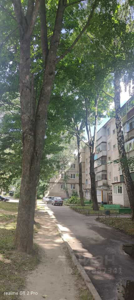 Россия, Курская область, Железногорск, улица Гагарина, 7к2