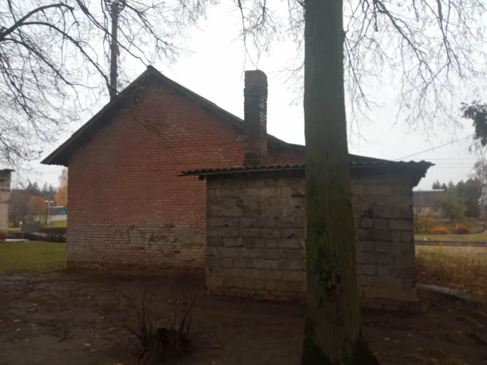 Беларусь, Витебская область, Оршанский район, Пищаловский сельсовет, деревня Можеевка, Станционная улица, 12, фото 5