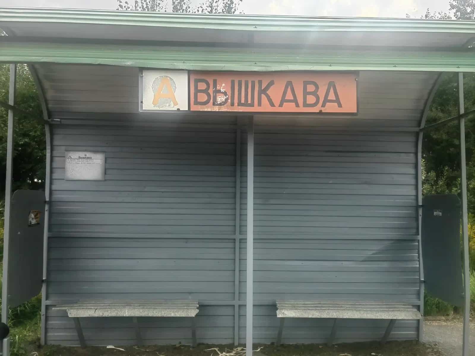 Беларусь, Минский район, Лошанский сельсовет, СТ Вышково, 64, фото 14