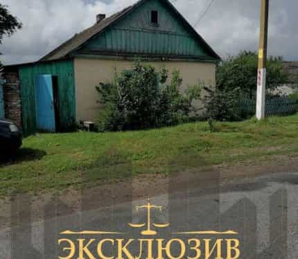 Беларусь, Гомельская область, Буда-Кошелёвский район, Октябрьский сельсовет, деревня Пытьковка, Дорожная улица, 18