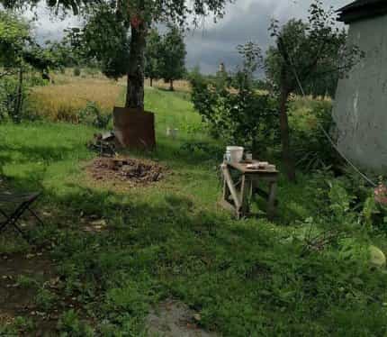 Беларусь, Гомельская область, Буда-Кошелёвский район, Октябрьский сельсовет, деревня Пытьковка, Дорожная улица, 18, фото 4